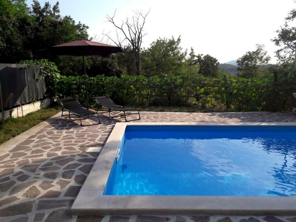 Apartment Nada With Private Pool Buzet